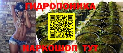 шишки Гусь-Хрустальный