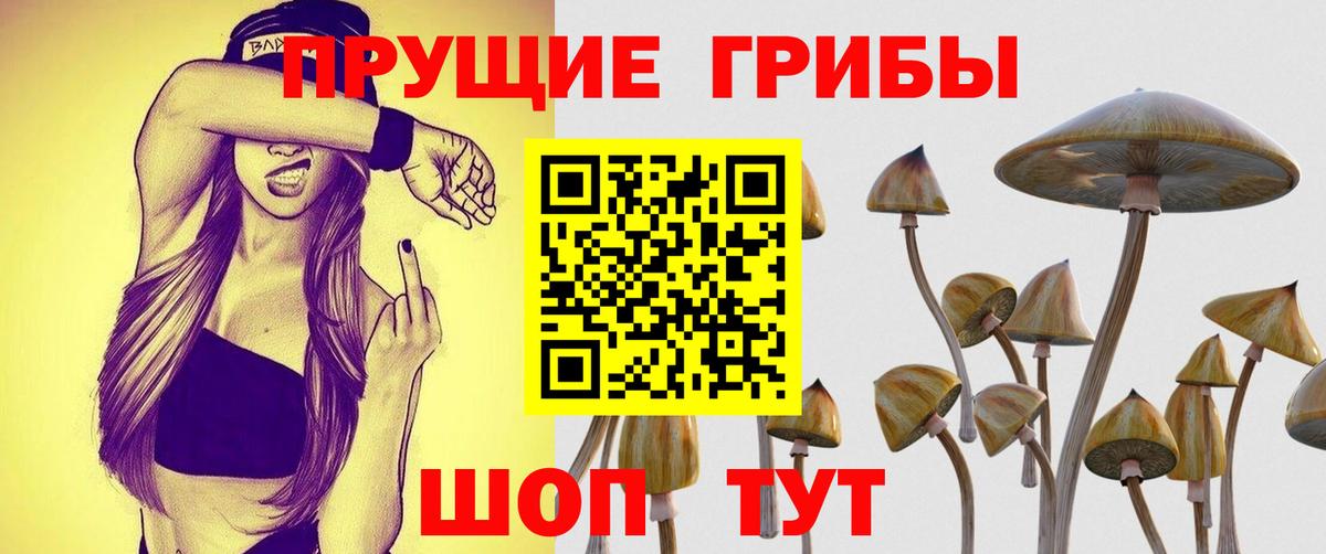 Галлюциногенные грибы мухоморы  Псилоцибиновые грибы мицелий  Вход с VPN  продажа наркотиков  Мурино 